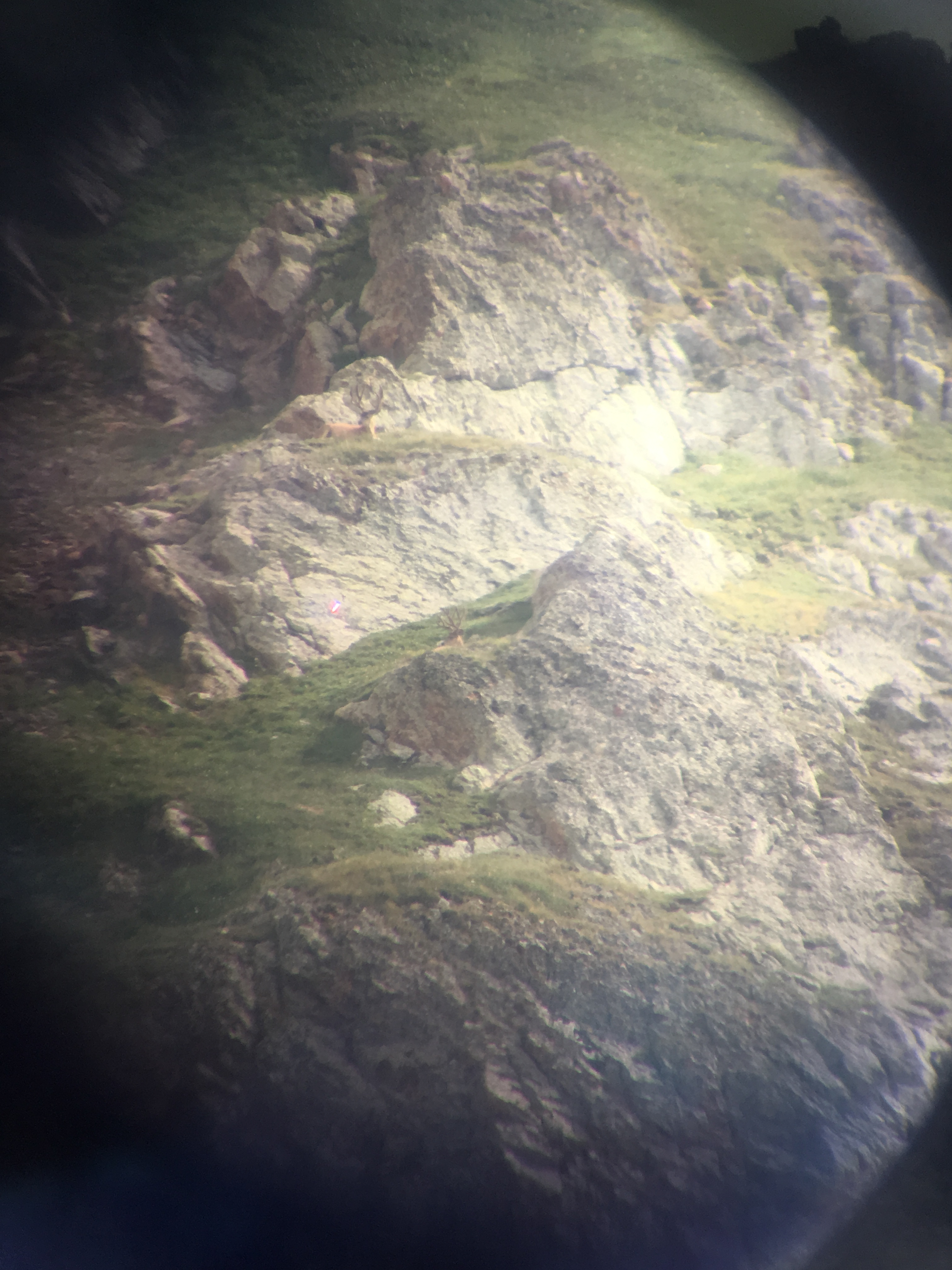 C6676031-FBA6-4177-8F8F-505F6A6F8049