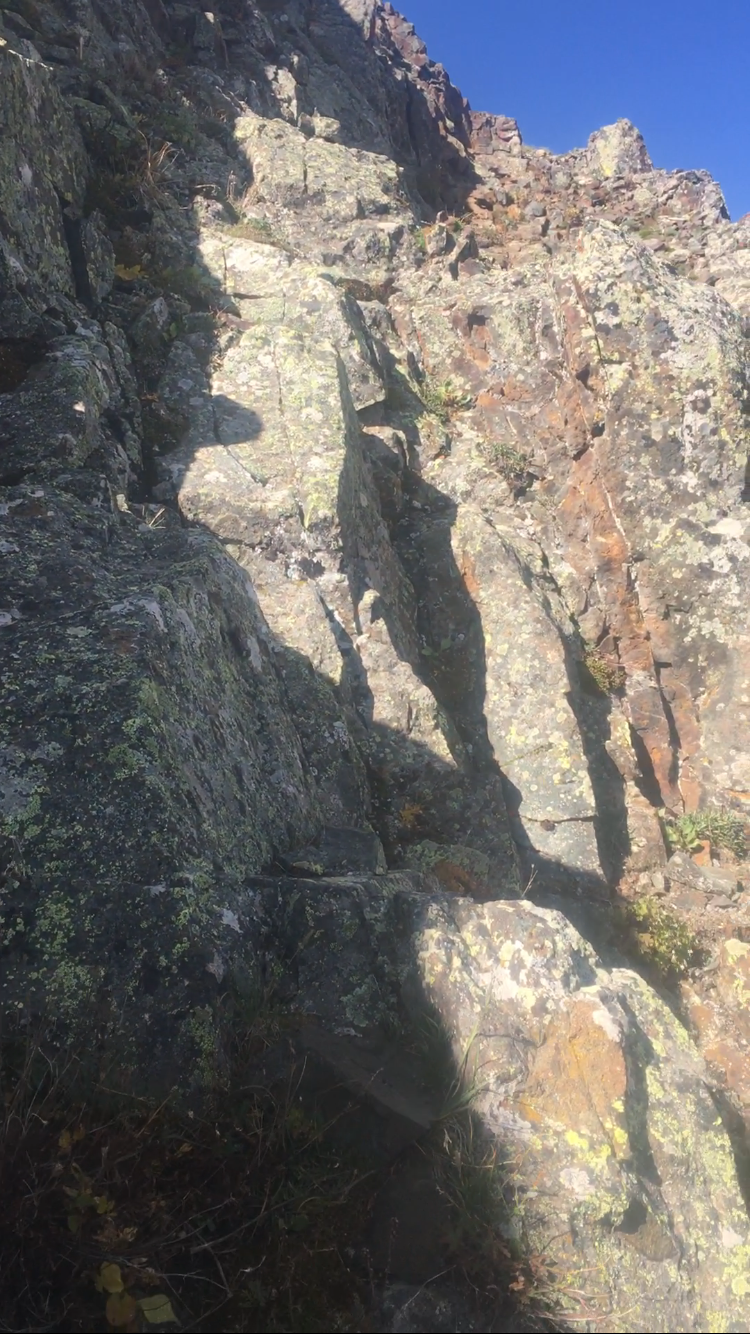 D236049F-5646-46AB-A187-0AFBA522C704